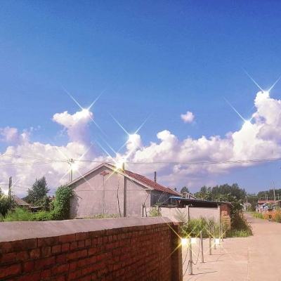 逃跑吧少年体验服下载安装2024最新版