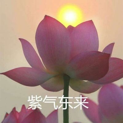 神装屠龙手机版下载